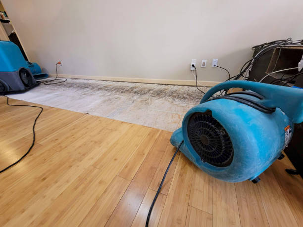 Professional Basement Flood Cleanup technician working in Minford, OH